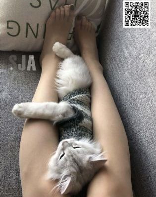 日韩美女图片免费观看_720电影全集观看