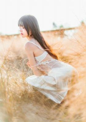 乱世儿女_BD国语免费高清观看